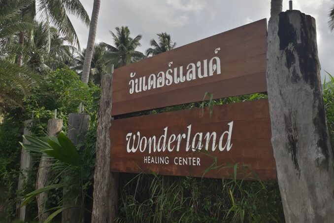Wonderland yoga retreat